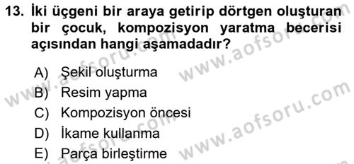 Çocuk Ve Oyun Dersi 2017 - 2018 Yılı 3 Ders Sınav Soruları 13. Soru