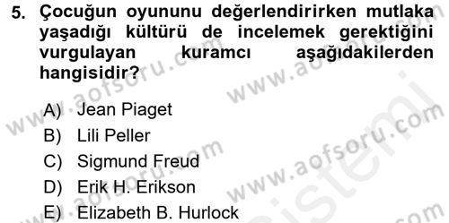 Çocuk Ve Oyun Dersi 2017 - 2018 Yılı 3 Ders Sınav Soruları 5. Soru