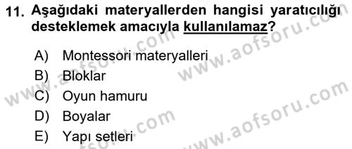 Çocuk Ve Oyun Dersi 2018 - 2019 Yılı (Vize) Ara Sınav Soruları 11. Soru