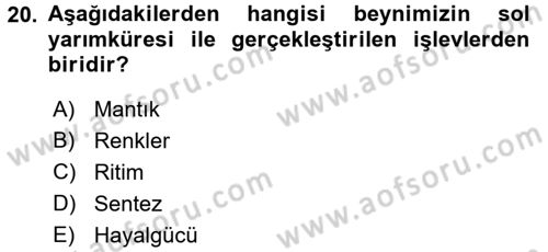 Çocuk Edebiyatı Ve Medya Dersi 2016 - 2017 Yılı (Final) Dönem Sonu Sınav Soruları 20. Soru