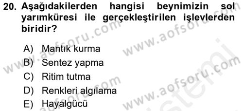Çocuk Edebiyatı Ve Medya Dersi 2017 - 2018 Yılı 3 Ders Sınav Soruları 20. Soru