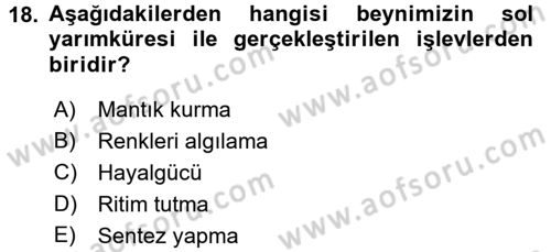Çocuk Edebiyatı Ve Medya Dersi 2017 - 2018 Yılı (Final) Dönem Sonu Sınav Soruları 18. Soru