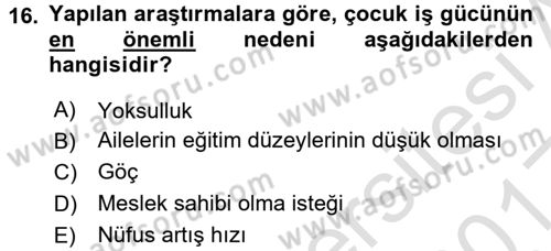 Çocuk Gelişiminde Program Dersi Ara Sınavı Deneme Sınav Soruları 16. Soru