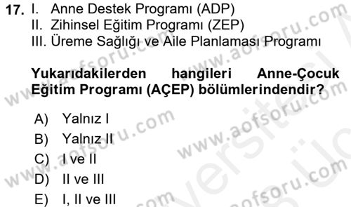 Çocuk Gelişiminde Program Dersi 2017 - 2018 Yılı 3 Ders Sınav Soruları 17. Soru