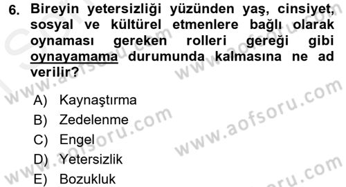 Çocuk Gelişiminde Program Dersi 2017 - 2018 Yılı (Final) Dönem Sonu Sınav Soruları 6. Soru