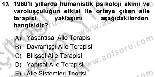 Aile Eğitimi Dersi 2016 - 2017 Yılı 3 Ders Sınav Soruları 13. Soru