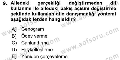 Aile Eğitimi Dersi 2016 - 2017 Yılı 3 Ders Sınav Soruları 9. Soru
