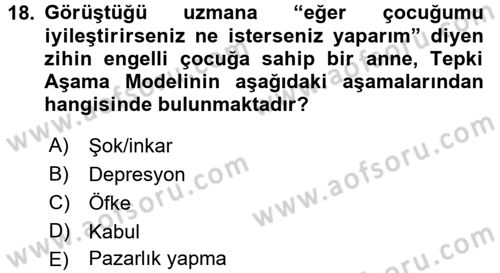 Aile Eğitimi Dersi 2016 - 2017 Yılı (Final) Dönem Sonu Sınav Soruları 18. Soru
