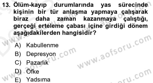 Aile Eğitimi Dersi 2017 - 2018 Yılı 3 Ders Sınav Soruları 13. Soru