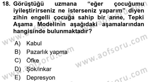 Aile Eğitimi Dersi 2017 - 2018 Yılı 3 Ders Sınav Soruları 18. Soru