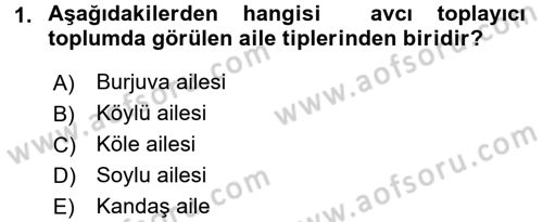 Aile Eğitimi Dersi Ara Sınavı Deneme Sınav Soruları 1. Soru