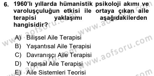 Anne Baba Eğitimi Ve Danışmanlık Hizmetleri Dersi 2016 - 2017 Yılı (Final) Dönem Sonu Sınavı 6. Soru