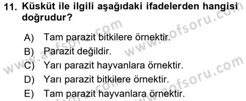 Çocuk, Bilim Ve Teknoloji Dersi 2016 - 2017 Yılı 3 Ders Sınav Soruları 11. Soru