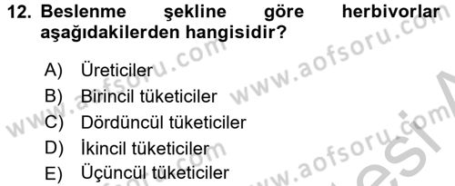 Çocuk, Bilim Ve Teknoloji Dersi 2016 - 2017 Yılı 3 Ders Sınav Soruları 12. Soru