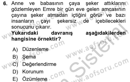 Çocuk, Bilim Ve Teknoloji Dersi 2016 - 2017 Yılı 3 Ders Sınav Soruları 6. Soru