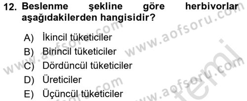 Çocuk, Bilim Ve Teknoloji Dersi 2016 - 2017 Yılı (Final) Dönem Sonu Sınav Soruları 12. Soru