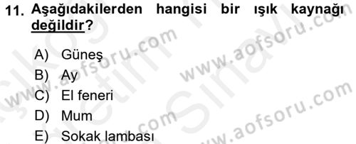 Çocuk, Bilim Ve Teknoloji Dersi 2017 - 2018 Yılı (Vize) Ara Sınav Soruları 11. Soru