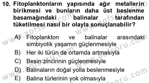 Çocuk, Bilim Ve Teknoloji Dersi 2017 - 2018 Yılı (Final) Dönem Sonu Sınav Soruları 10. Soru
