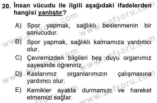 Çocuk, Bilim Ve Teknoloji Dersi 2018 - 2019 Yılı (Vize) Ara Sınav Soruları 20. Soru