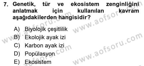Çocuk, Bilim Ve Teknoloji Dersi 2018 - 2019 Yılı (Final) Dönem Sonu Sınav Soruları 7. Soru