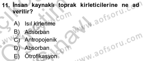 Çocuk, Bilim Ve Teknoloji Dersi 2018 - 2019 Yılı Yaz Okulu Sınavı 11. Soru