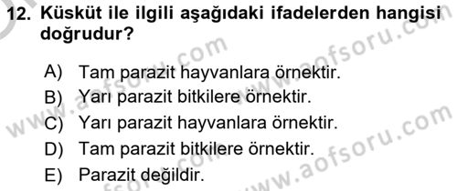 Çocuk, Bilim Ve Teknoloji Dersi 2018 - 2019 Yılı Yaz Okulu Sınavı 12. Soru