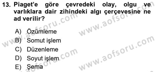 Çocuk, Bilim Ve Teknoloji Dersi 2018 - 2019 Yılı Yaz Okulu Sınavı 13. Soru