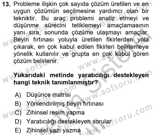 Çocukta Sanat Eğitimi Ve Yaratıcılık Dersi 2016 - 2017 Yılı 3 Ders Sınav Soruları 13. Soru
