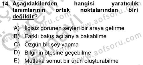 Çocukta Sanat Eğitimi Ve Yaratıcılık Dersi 2016 - 2017 Yılı 3 Ders Sınav Soruları 14. Soru