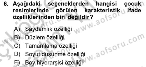 Çocukta Sanat Eğitimi Ve Yaratıcılık Dersi 2016 - 2017 Yılı 3 Ders Sınav Soruları 6. Soru