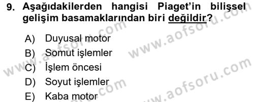 Çocukta Sanat Eğitimi Ve Yaratıcılık Dersi 2016 - 2017 Yılı 3 Ders Sınav Soruları 9. Soru