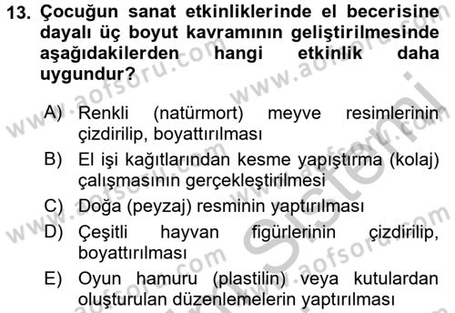 Çocukta Sanat Eğitimi Ve Yaratıcılık Dersi 2016 - 2017 Yılı (Vize) Ara Sınav Soruları 13. Soru
