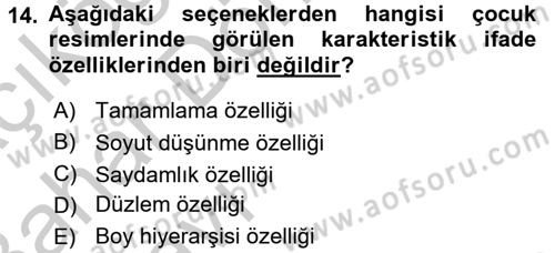 Çocukta Sanat Eğitimi Ve Yaratıcılık Dersi 2016 - 2017 Yılı (Vize) Ara Sınav Soruları 14. Soru