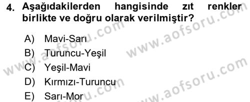 Çocukta Sanat Eğitimi Ve Yaratıcılık Dersi 2016 - 2017 Yılı (Final) Dönem Sonu Sınav Soruları 4. Soru