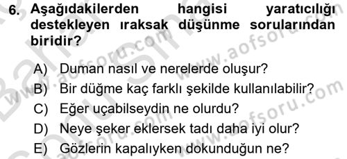 Çocukta Sanat Eğitimi Ve Yaratıcılık Dersi 2016 - 2017 Yılı (Final) Dönem Sonu Sınav Soruları 6. Soru