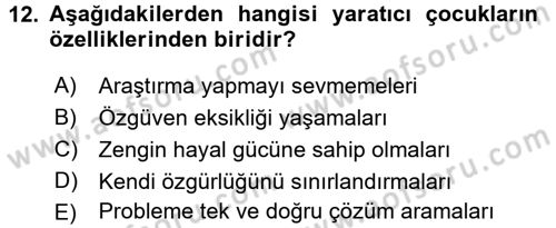 Çocukta Sanat Eğitimi Ve Yaratıcılık Dersi 2017 - 2018 Yılı 3 Ders Sınav Soruları 12. Soru