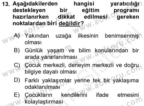 Çocukta Sanat Eğitimi Ve Yaratıcılık Dersi 2017 - 2018 Yılı 3 Ders Sınav Soruları 13. Soru