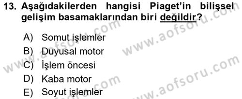 Çocukta Sanat Eğitimi Ve Yaratıcılık Dersi 2017 - 2018 Yılı (Vize) Ara Sınav Soruları 13. Soru
