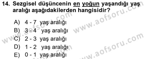Çocukta Sanat Eğitimi Ve Yaratıcılık Dersi 2017 - 2018 Yılı (Vize) Ara Sınav Soruları 14. Soru