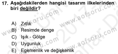 Çocukta Sanat Eğitimi Ve Yaratıcılık Dersi 2017 - 2018 Yılı (Vize) Ara Sınav Soruları 17. Soru