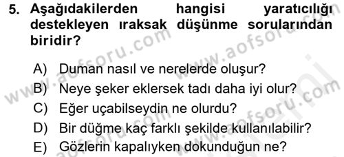 Çocukta Sanat Eğitimi Ve Yaratıcılık Dersi 2017 - 2018 Yılı (Final) Dönem Sonu Sınav Soruları 5. Soru