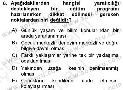 Çocukta Sanat Eğitimi Ve Yaratıcılık Dersi 2017 - 2018 Yılı (Final) Dönem Sonu Sınav Soruları 6. Soru