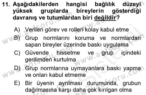 Toplantı Ve Sunu Teknikleri Dersi 2018 - 2019 Yılı (Final) Dönem Sonu Sınav Soruları 11. Soru