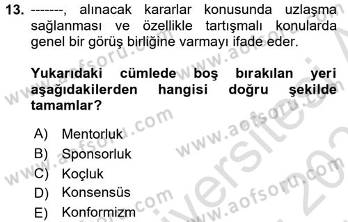 Toplantı Ve Sunu Teknikleri Dersi 2023 - 2024 Yılı (Vize) Ara Sınav Soruları 13. Soru