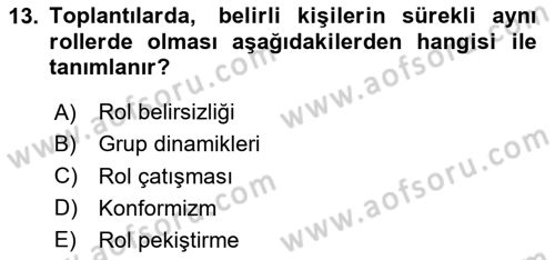 Toplantı Ve Sunu Teknikleri Dersi 2024 - 2025 Yılı (Vize) Ara Sınav Soruları 13. Soru
