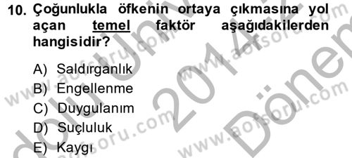 Çatışma ve Stres Yönetimi 1 Dersi 2014 - 2015 Yılı (Final) Dönem Sonu Sınavı 10. Soru