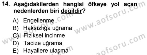 Çatışma ve Stres Yönetimi 1 Dersi 2014 - 2015 Yılı Tek Ders Sınav Soruları 14. Soru