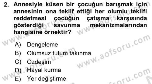 Çatışma ve Stres Yönetimi 1 Dersi 2019 - 2020 Yılı (Final) Dönem Sonu Sınav Soruları 2. Soru