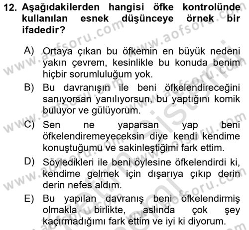 Çatışma ve Stres Yönetimi 1 Dersi 2021 - 2022 Yılı (Final) Dönem Sonu Sınav Soruları 12. Soru