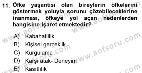 Çatışma ve Stres Yönetimi 1 Dersi 2024 - 2025 Yılı (Final) Dönem Sonu Sınav Soruları 11. Soru